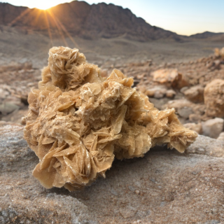 Grande rose des sables pyramidale – Gypse naturel