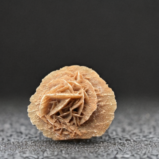Petite rose des sables brun roux