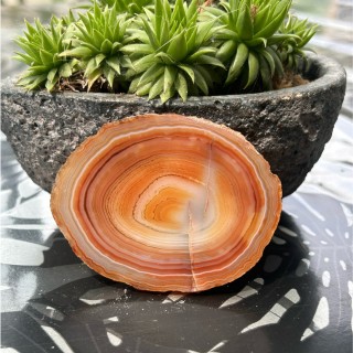 Tranche d'agate polie – Nuances de brun et de rose