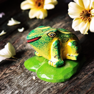 Petite grenouille sur nénuphar en bois léger