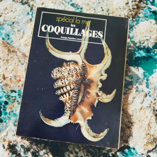 “Spécial la mer – Les coquillages” de Sergio Angeletti (1974, Éditions Grange Batelière – Paris)